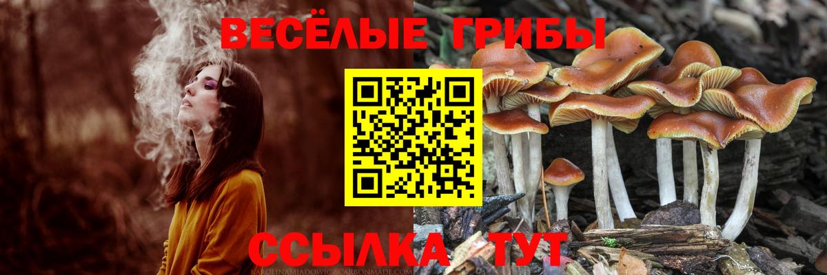Псилоцибиновые грибы прущие грибы  Галлюциногенные грибы Cubensis  Вход с VPN  Дербент 